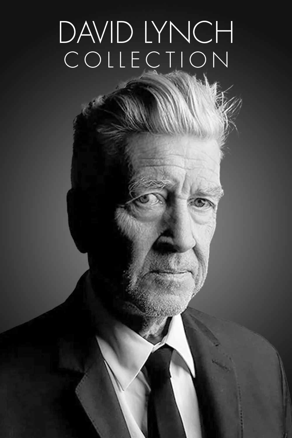 David Lynch [418828] (A1751940283) Collection (Movies) --Plex--